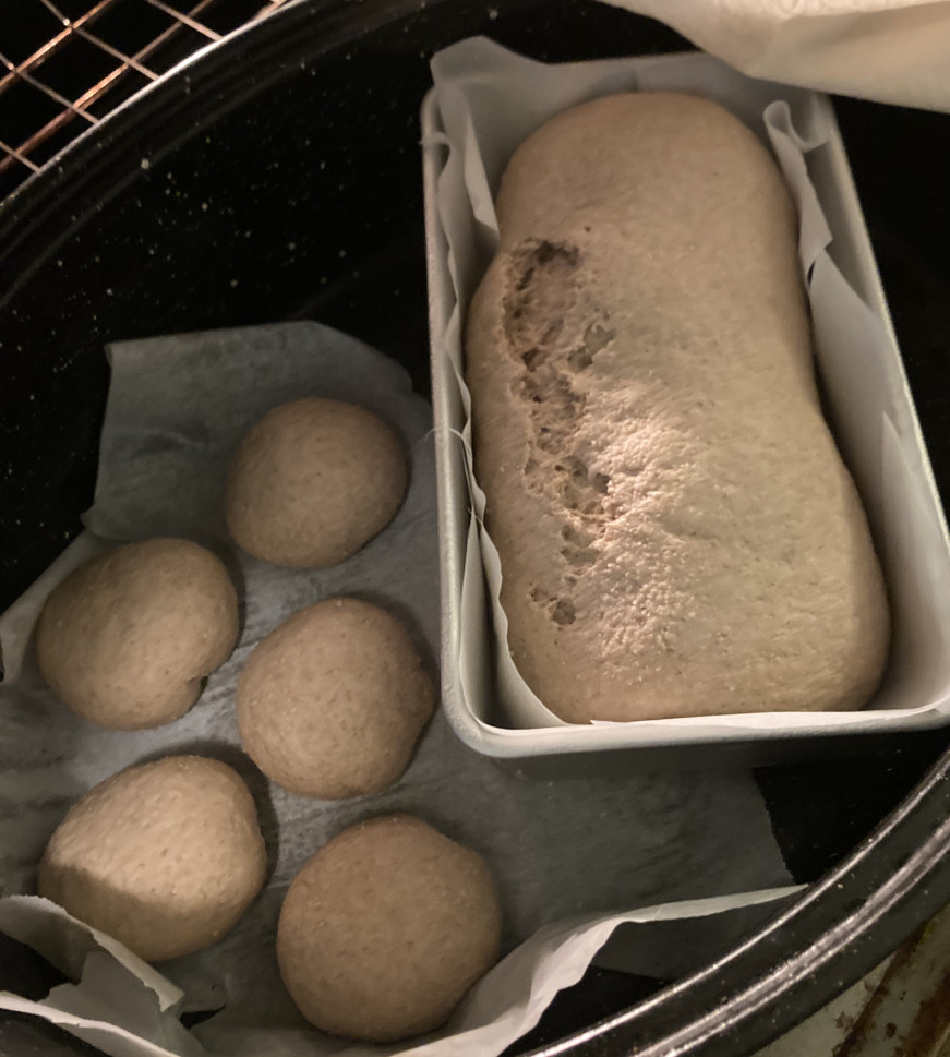 Overproofed whole wheat bread and rolls.