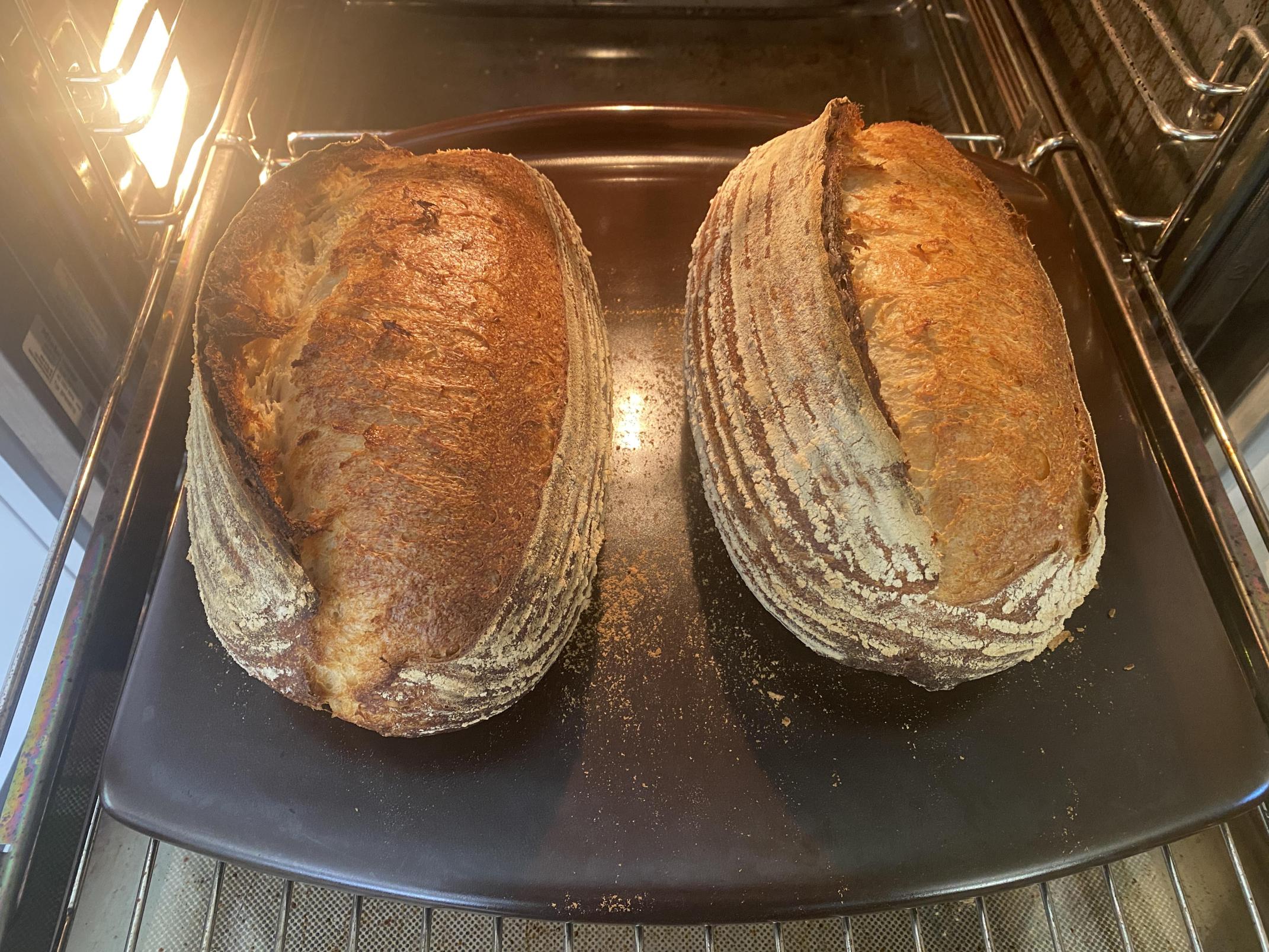 Sourdough