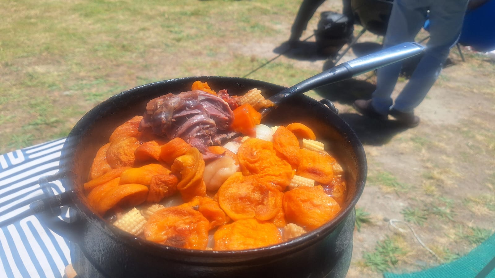 Lamb shank just peaking out