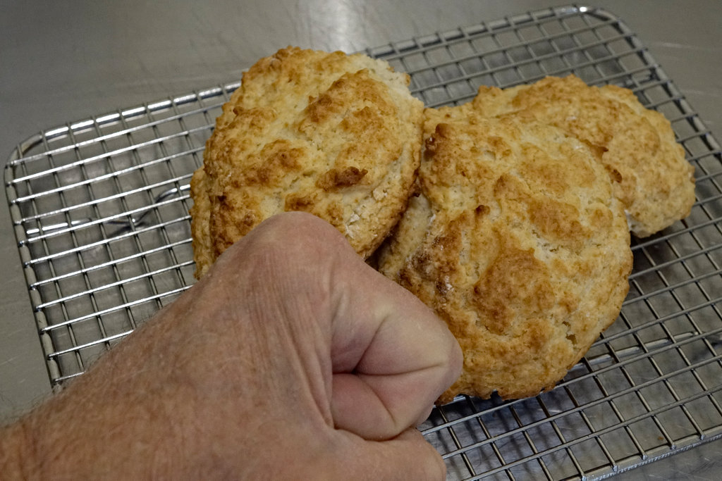 cats heat biscuits