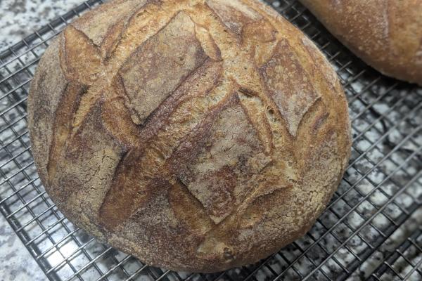 pain de campagne