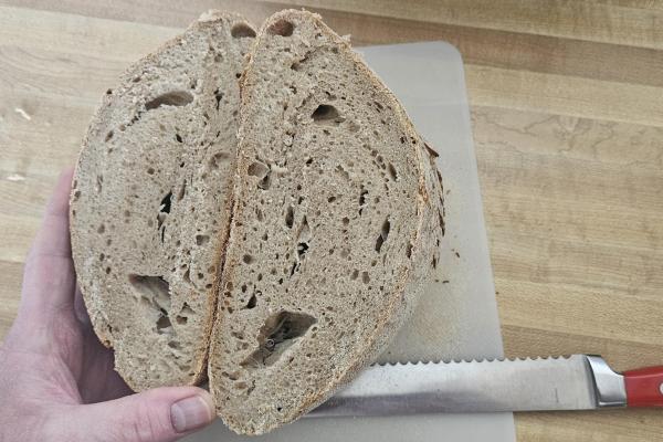 Interior crumb of sourdough boule 