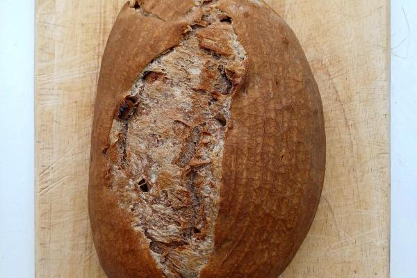 Biga loaf