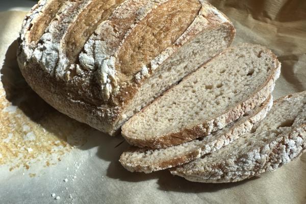 GF sourdough make with brown rice and sorghum flour blend