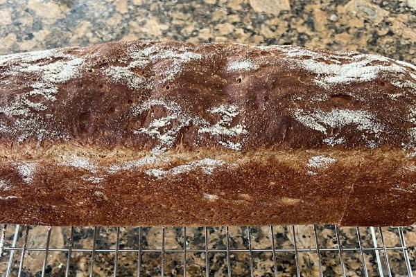 Using SD Discard to make a English Muffin Toasting Bread