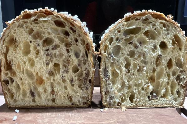 May 5 panettone