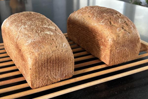 Milk Rye Bread