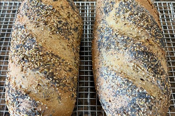 SESAME SEMOLINA