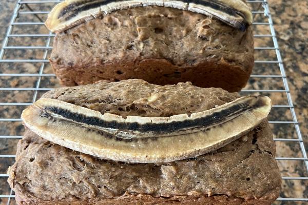 Vegan No-Sugar Banana Bread by ChatGPT