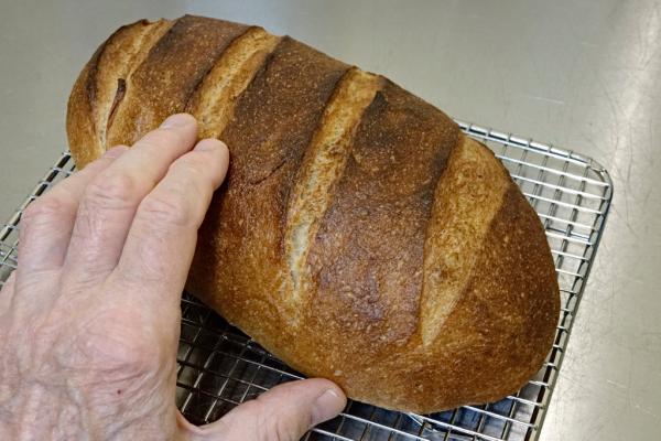 Masa-rye loaf using masa harina starter