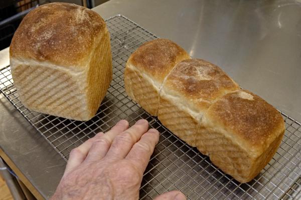 Two loaves