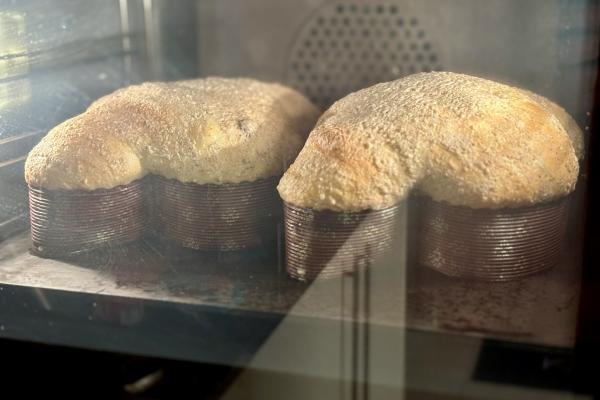 Colomba