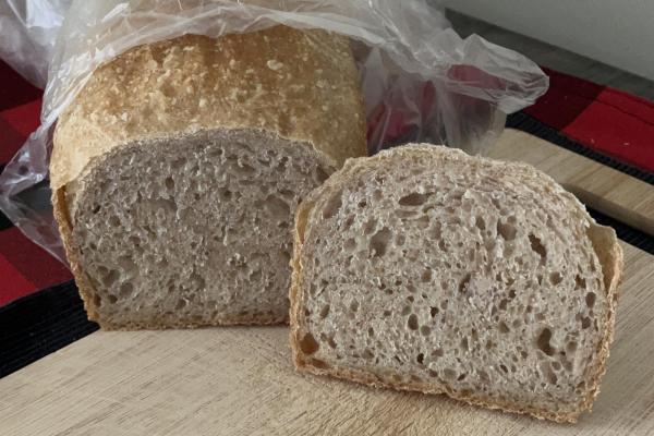 Pain de Rémésy 2025 pullman loaf, cut