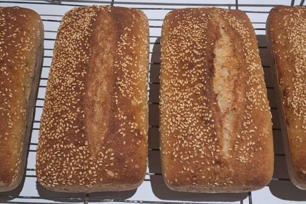 Four breads side by side as seen from the top. Breads are samples 1 to 4 from left to right as per the text. Breads 3 and 4 opened properly at the straight score.