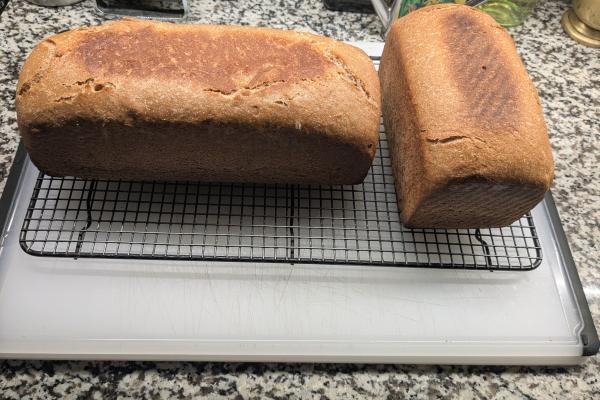 Pullman loaf bread 