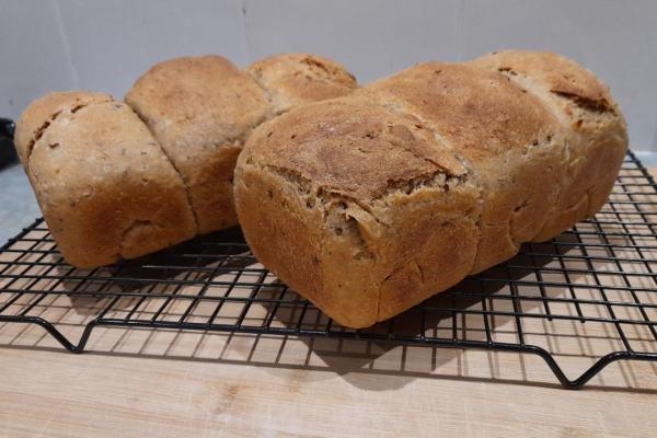 Sourdough pan loaves