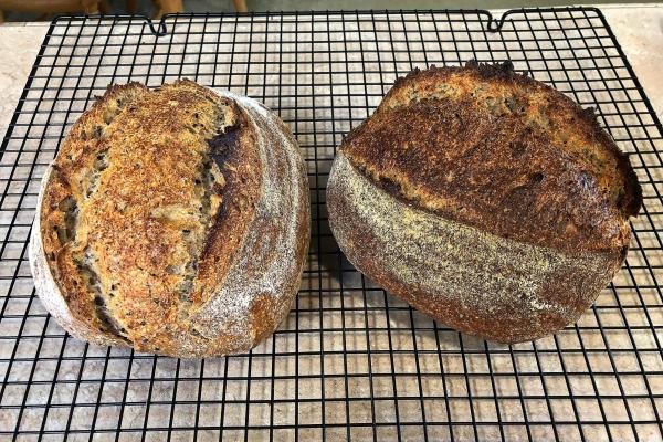 Image of Ancient Grain SD With (Mostly) Black Sesame goes here