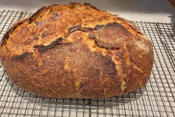 Fabulous sourdough cheese bread  made with Guinness beer and 40% whole wheat flour