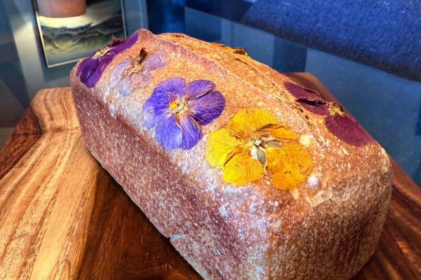 50% WW SD pan loaf 81% hydration
