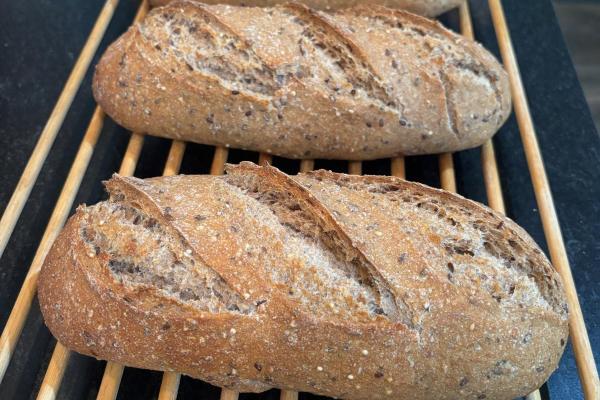 Sourdough multigrain batards
