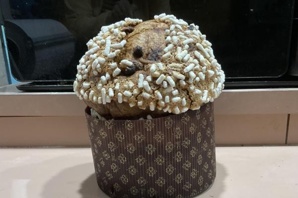 Panettone loaf