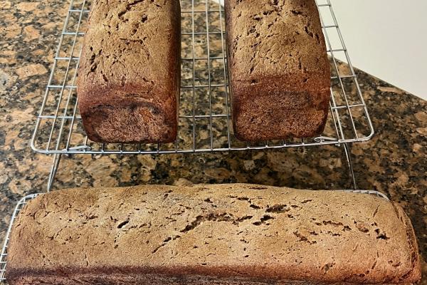 3 loaves of Sourdough Bread-Prebiotic Leaven ~100%Whole Wheat