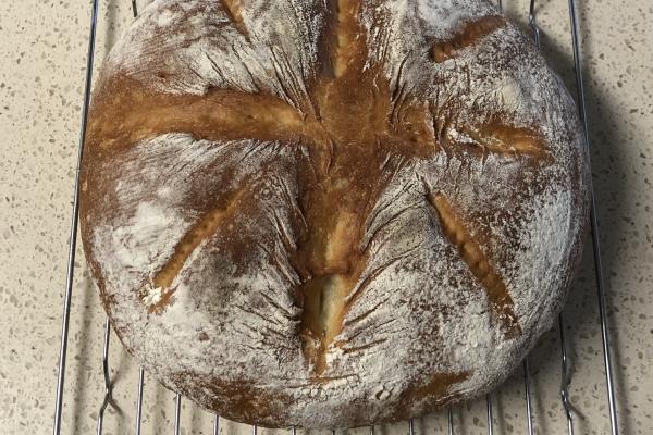 a round loaf of pain de campagne sitting on a rack to cool, scored in a cross