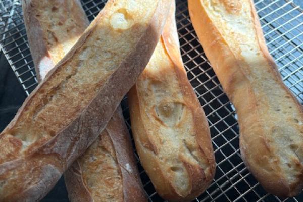 Bread