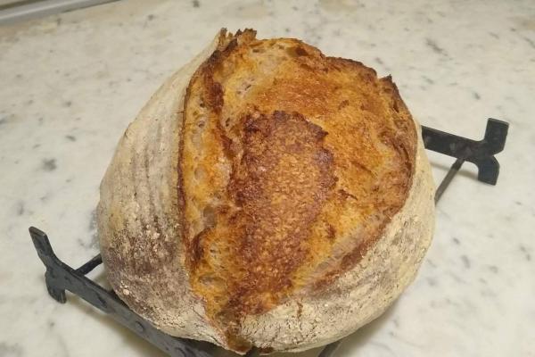 Middlings preferment SD loaf