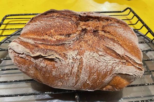 a rye boule