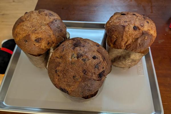 Panettone Preview