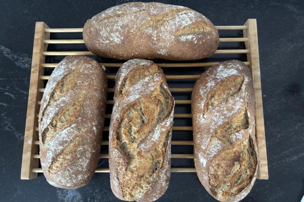 Hamelman’s 5-Grain Sourdough 