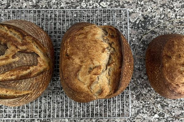 French Folds, Hamelman Recipe