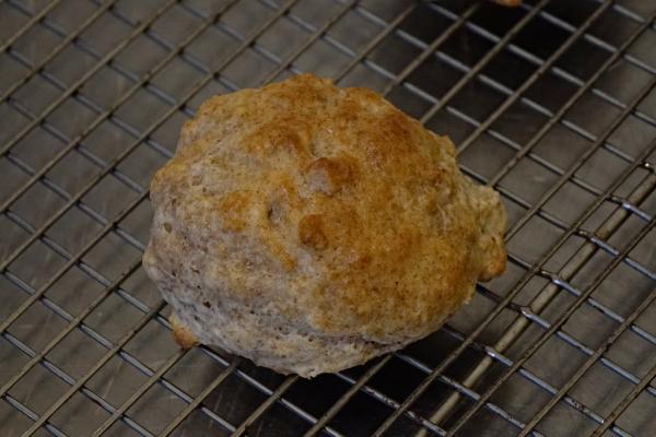 Overall View of Biscuit