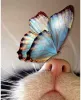 Profile picture for user Rosemary