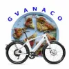 Profile picture for user gvanaco