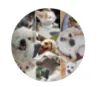 Profile picture for user chachamom