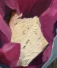 Profile picture for user pppaaatttrrriii