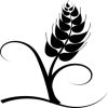 Profile picture for user sourdough.calculator