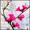 Profile picture for user Sarah21