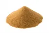 Profile picture for user yeast