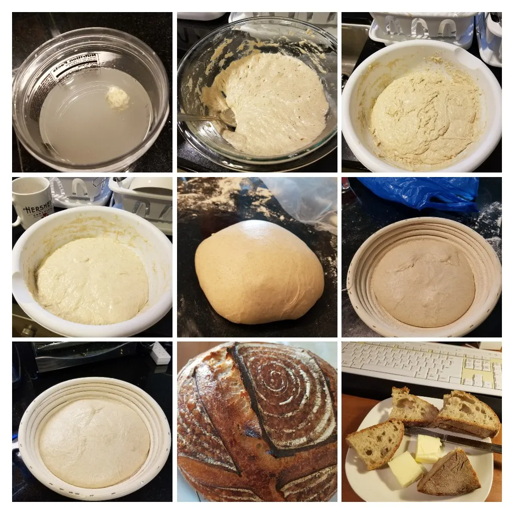 20180121_103442-COLLAGE.jpg 20180121_103442-COLLAGE.jpg