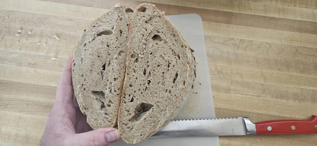 Interior crumb of sourdough boule