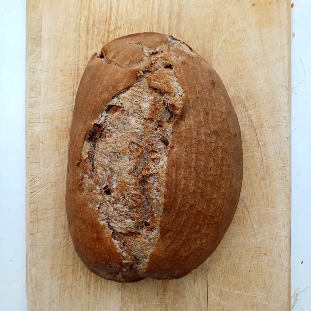 Biga loaf