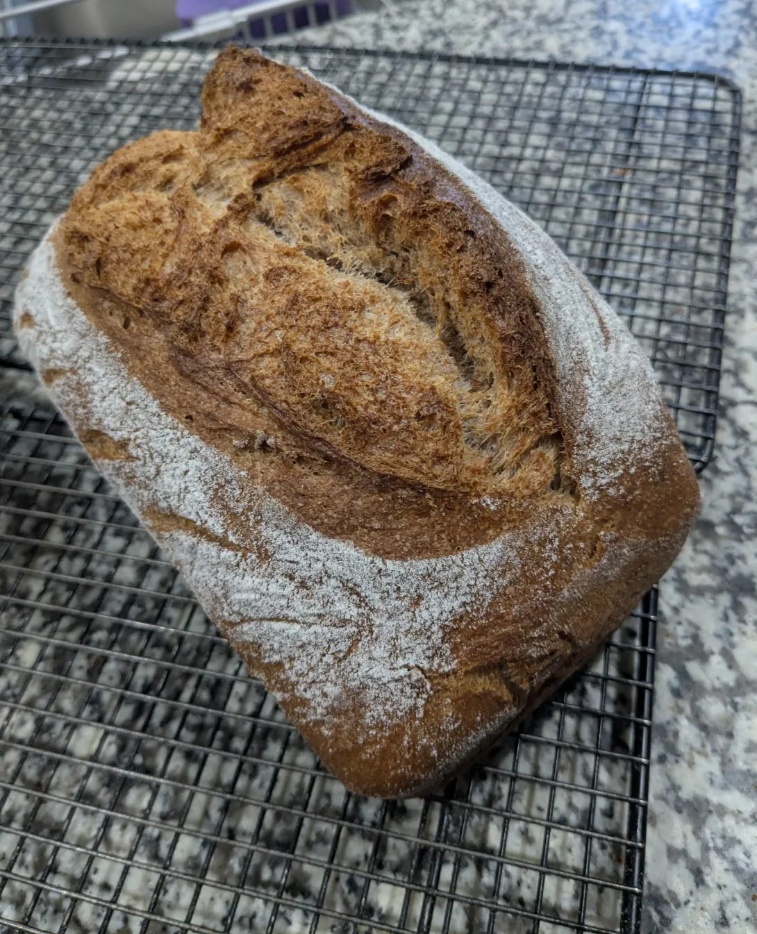 Bread
