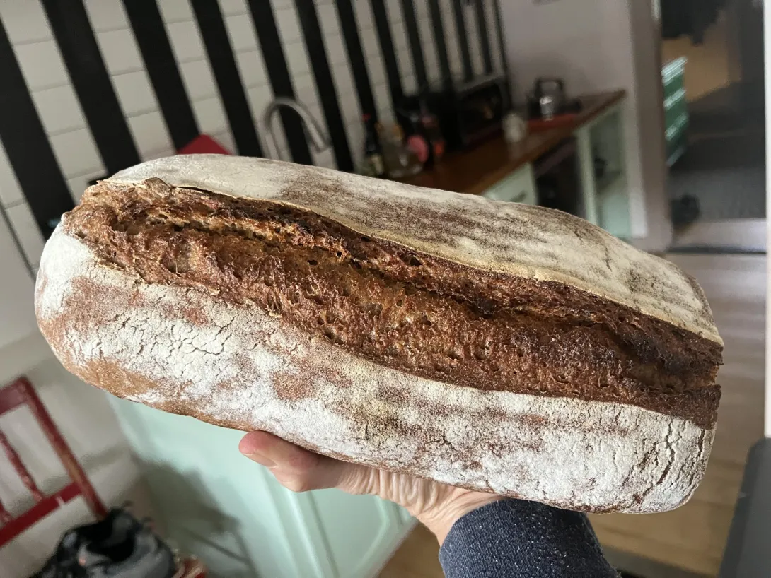 Top view of a loaf of brown bread