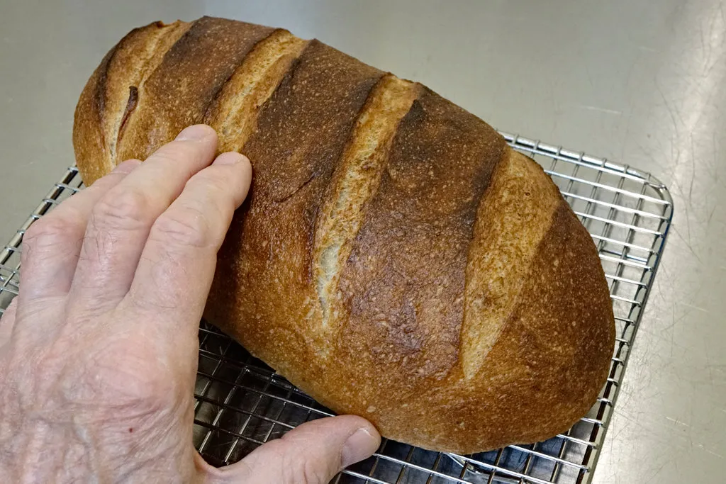 Masa-rye loaf using masa harina starter