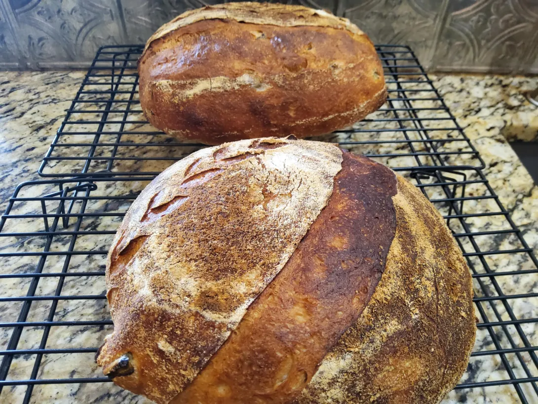 Rye Sourdough frustration with scoring