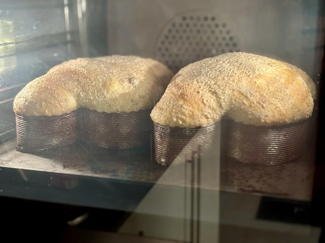 Colomba