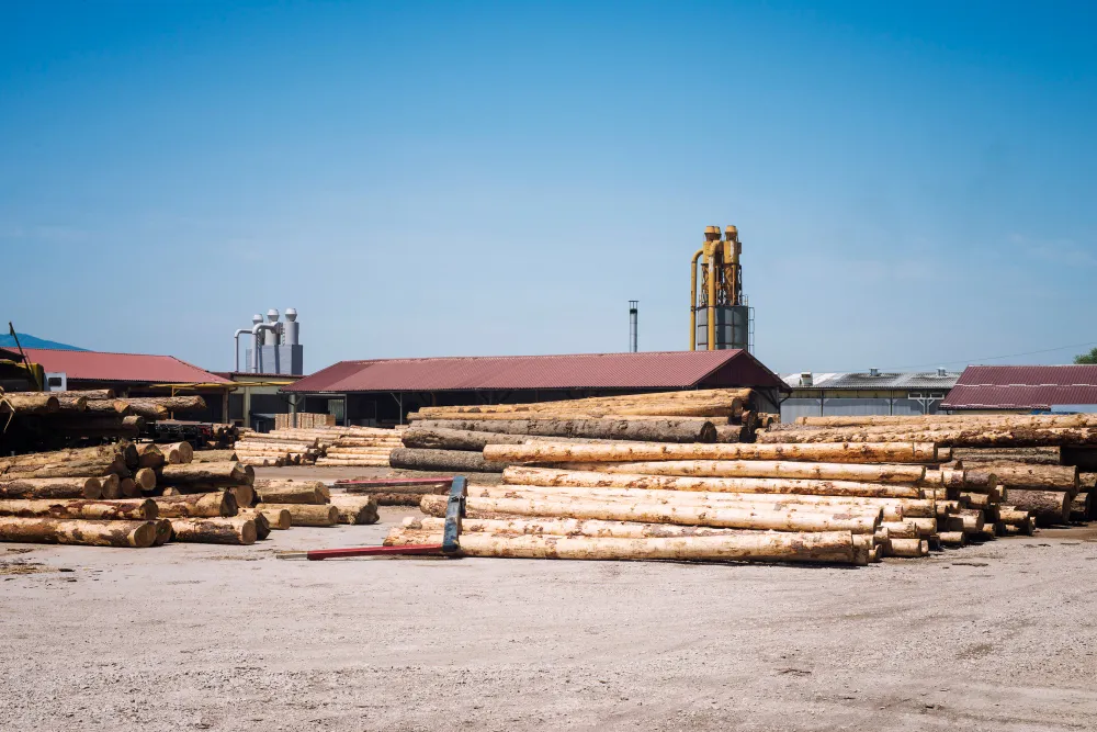 sustainable woodland management